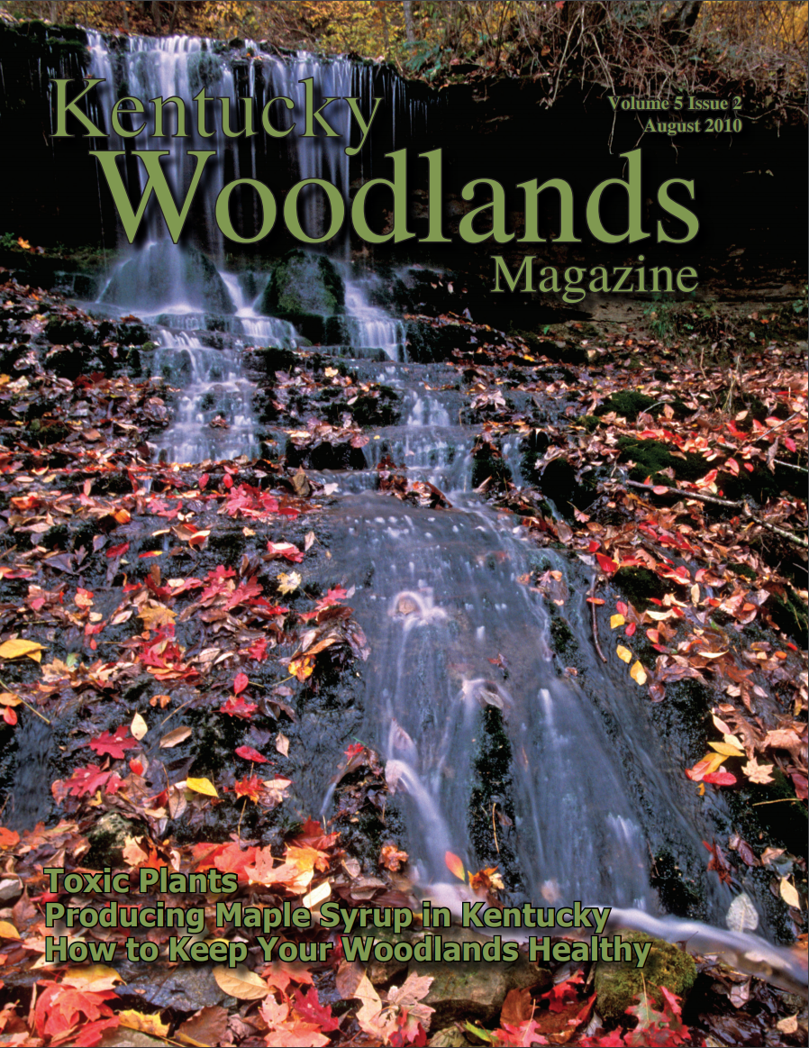 Kentucky Woodlands Magazine, Volume 5, Issue 2 Cover