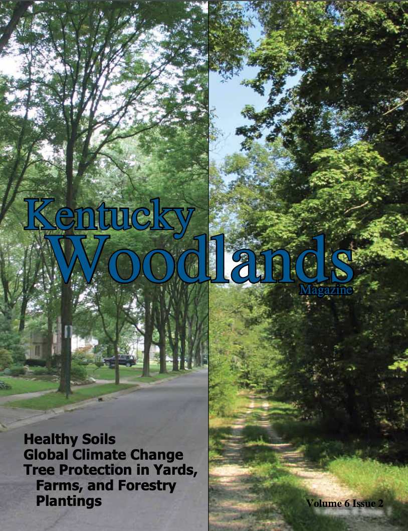 Kentucky Woodlands Magazine Cover Roads