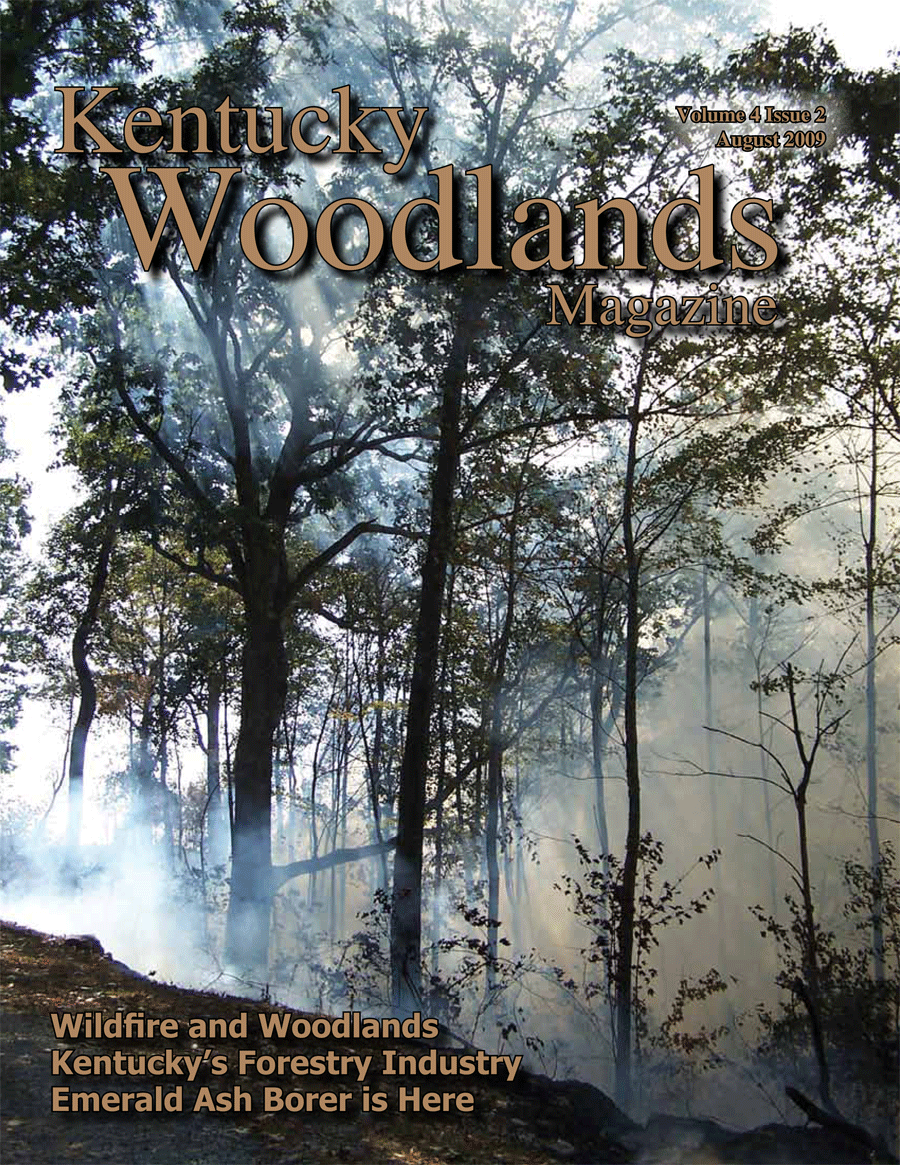 Kentucky Woodlands Magazine Cover Fire