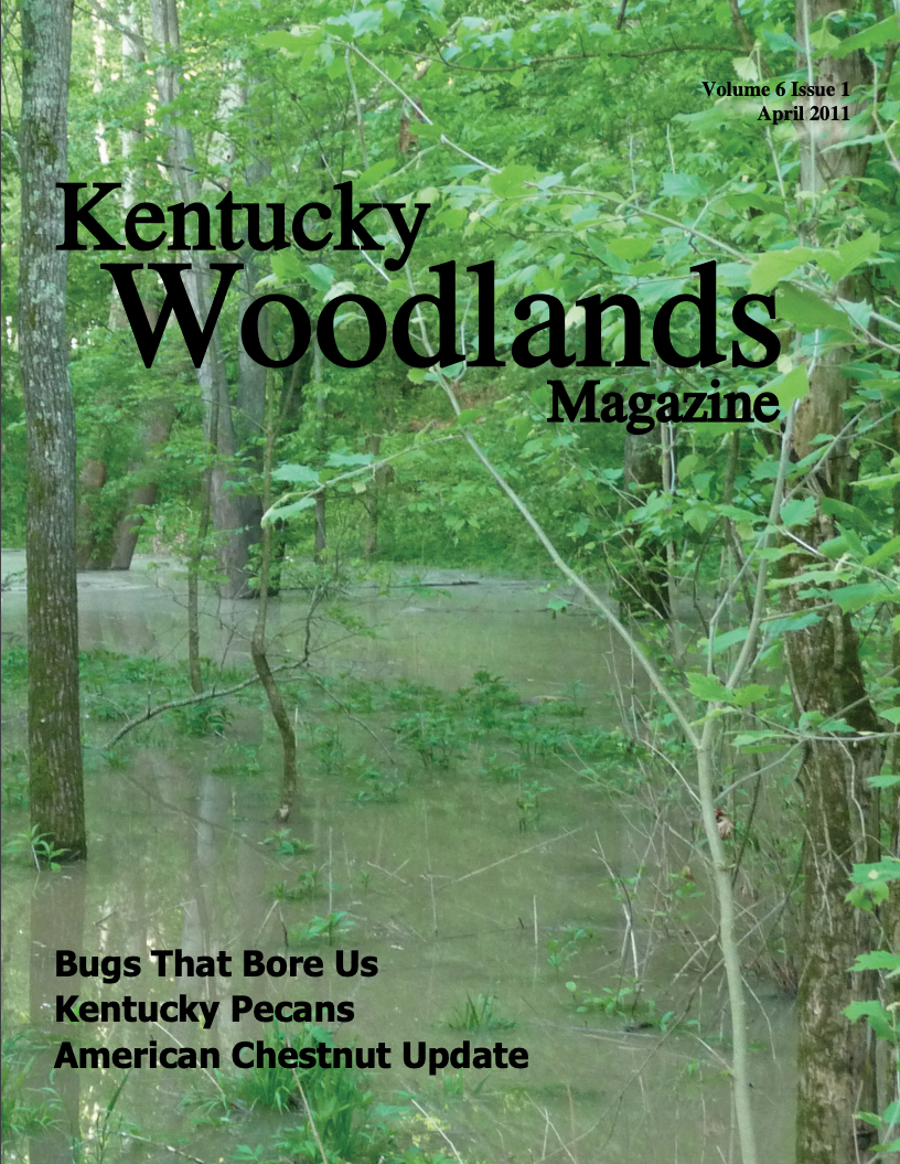 Kentucky Woodlands Magazine, Volume 6, Issue 1 Cover