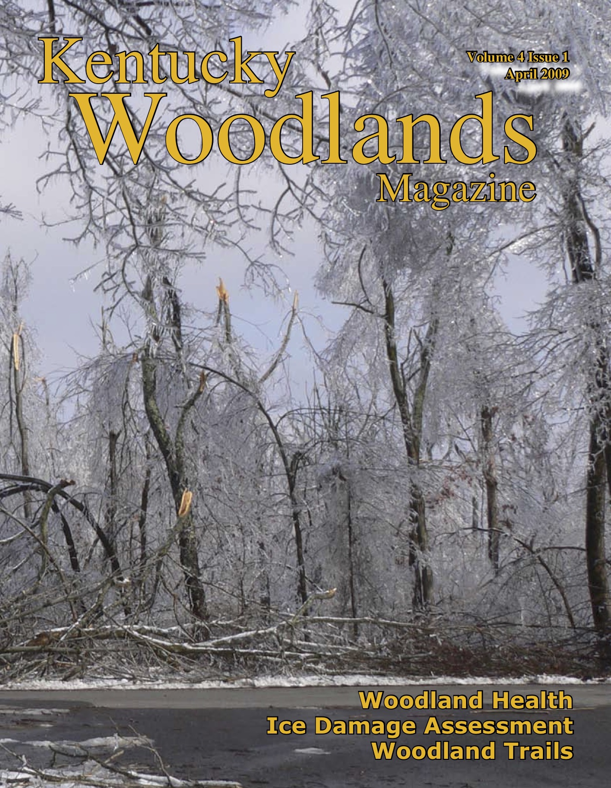 Kentucky Woodlands Magazine, Volume 4, Issue 1 Cover