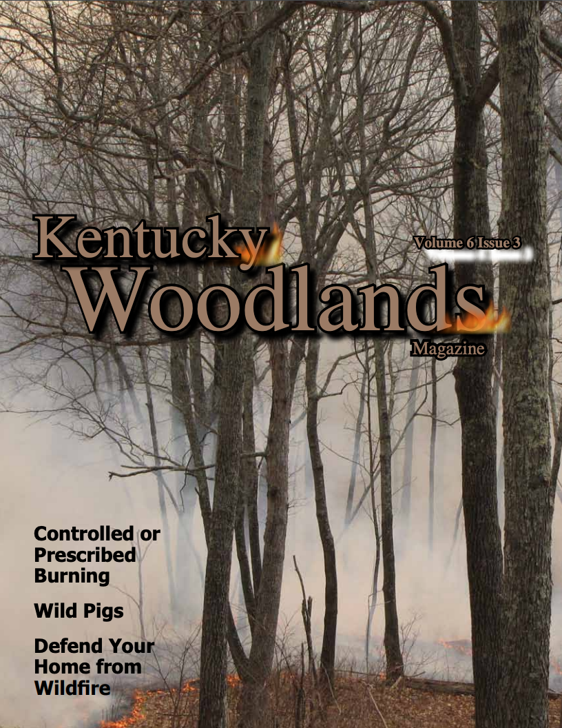 Kentucky Woodlands Magazine Volume 6, Issue 3 Cover