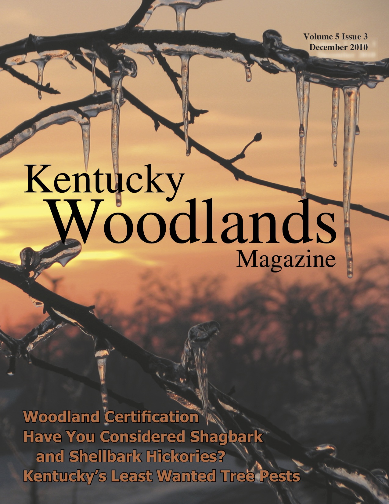 Kentucky Woodlands Magazine, Volume 5, Issue 3