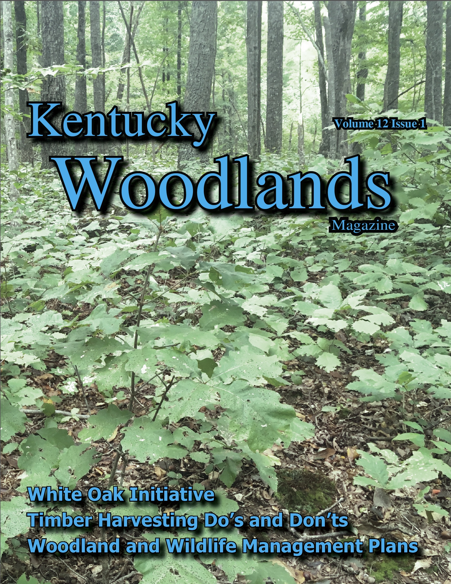Kentucky Woodlands Magazine, Volume 12, Issue 1, Cover